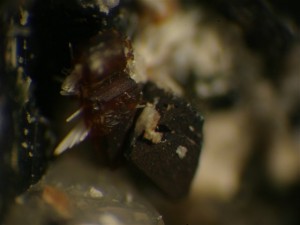 031 0004 Magnetiet