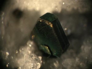 010 0001 Polybasit