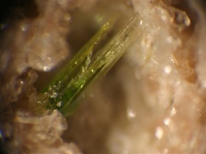  Pyroxeen